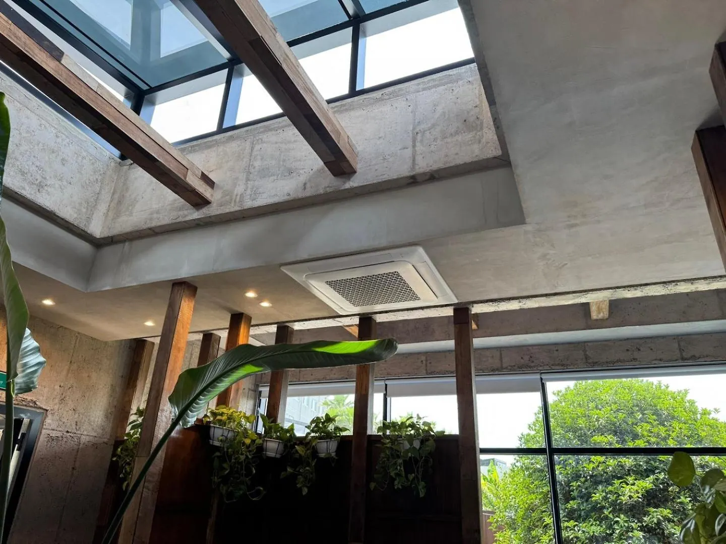 Jeju Dodu Tropical Premium Pool Villa קוריאה הדרומית